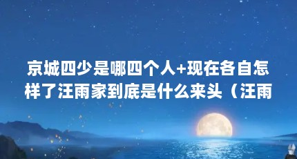 京城四少是哪四个人+现在各自怎样了汪雨家到底是什么来头（汪雨是谁,谁是他老子?）【“京城四少”汪雨久违现身，携儿子拜祭父母称不能忘记养育之恩】