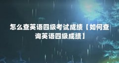 怎么查英语四级考试成绩【如何查询英语四级成绩】