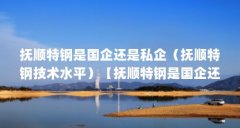抚顺特钢是国企还是私企(抚顺特钢技术水平)【抚顺特钢是国企还是国企,抚