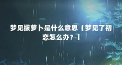 梦见拔萝卜是什么意思【梦见了初恋怎么办?】