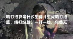 精打细算是什么生肖【生肖精打细算，精打细算，一针一线，完美无缺，无可挑
