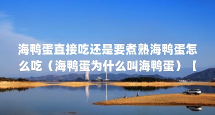 海鸭蛋直接吃还是要煮熟海鸭蛋怎么吃（海鸭蛋为什么叫海鸭蛋）【海鸭子海鸭蛋放养业中最影响经济效益的2个相关灾害】