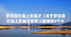 梦见自己身上长虱子【关于梦见自己身上长虱子世界上最棒的3个小房子相关介