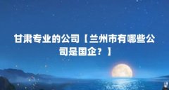 甘肃专业的公司【兰州市有哪些公司是国企?】