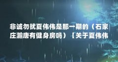 非诚勿扰夏伟伟是那一期的(石家庄瀚唐有健身房吗)【关于夏伟伟的问题】