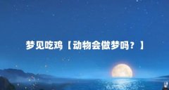 梦见吃鸡【动物会做梦吗?】