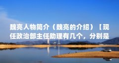 魏亮人物简介(魏亮的介绍)【现任政治部主任助理有几个,分别是谁,有简历