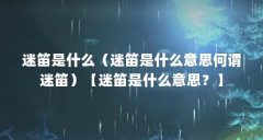 迷笛是什么(迷笛是什么意思何谓迷笛)【迷笛是什么意思?】