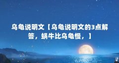 乌龟说明文【乌龟说明文的3点解答,蜗牛比乌龟慢,】