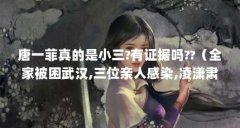 唐一菲真的是小三?有证据吗??（全家被困武汉,三位亲人感染,凌潇肃一句话暴露