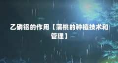 乙磷铝的作用【蒲桃的种植技术和管理】