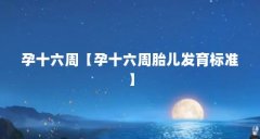 孕十六周【孕十六周胎儿发育标准】