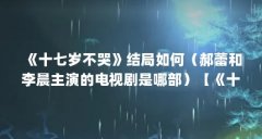 《十七岁不哭》结局如何(郝蕾和李晨主演的电视剧是哪部)【《十七岁不哭》
