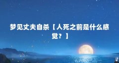 梦见丈夫自杀【人死之前是什么感觉？】