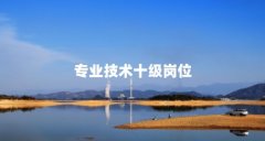 专业技术十级岗位