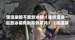 保温袋能不能放冰箱(连保温袋一起放冰箱有制冷效果吗)【保温袋一起放冰箱