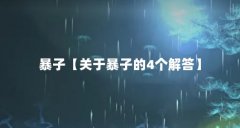 暴子【关于暴子的4个解答】