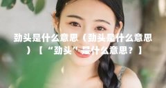 劲头是什么意思(劲头是什么意思)【“劲头”是什么意思?】
