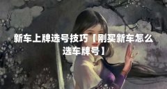 新车上牌选号技巧【刚买新车怎么选车牌号】