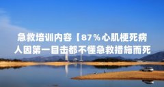 急救培训内容【87%心肌梗死病人因第一目击都不懂急救措施而死亡】