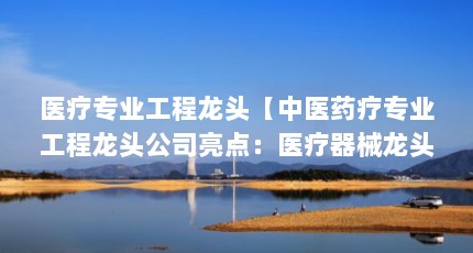 医疗专业工程龙头【中医药疗专业工程龙头公司亮点：医疗器械龙头公司亮点】