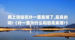 网上说田亮叶一茜离婚了,是真的吗?(叶一茜为什么和田亮离婚?)【叶一茜为什