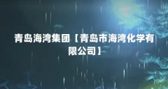 青岛海湾集团【青岛市海湾化学有限公司】