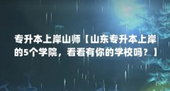 专升本上岸山师【山东专升本上岸的5个学院,看看有你的学校吗?】