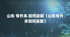 山东 专升本 如何录取【山东专升本如何录取】