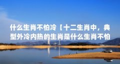 什么生肖不怕冷【十二生肖中,典型外冷内热的生肖是什么生肖不怕冷的】