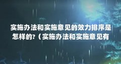 实施办法和实施意见的效力排序是怎样的?（实施办法和实施意见有什么不同）