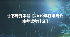 廿书专升本题【2019年甘肃专升本考试考什么】
