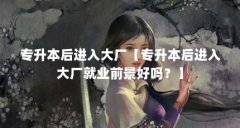 专升本后进入大厂【专升本后进入大厂就业前景好吗?】