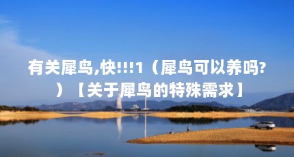 有关犀鸟,快!!!1（犀鸟可以养吗?）【关于犀鸟的特殊需求】