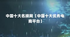 中国十大名牌网【中国十大优秀电商平台】