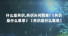 什么是共识,共识从何而来?(共识是什么意思)【共识是什么意思】