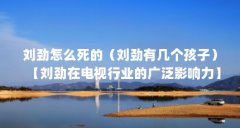 刘劲怎么死的(刘劲有几个孩子)【刘劲在电视行业的广泛影响力】