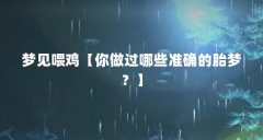 梦见喂鸡【你做过哪些准确的胎梦?】