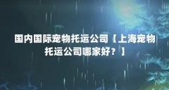 国内国际宠物托运公司【上海宠物托运公司哪家好?】