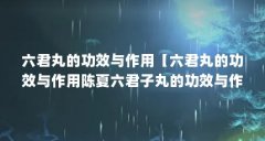 六君丸的功效与作用【六君丸的功效与作用陈夏六君子丸的功效与作用的解答】