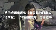 钻的成语有哪些(有关钻的四字成语大全)【12钻山塞海:比喻做事迎合别人的