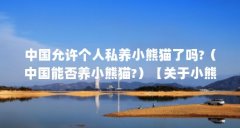 中国允许个人私养小熊猫了吗?(中国能否养小熊猫?)【关于小熊猫的一些问题