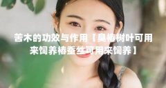 苦木的功效与作用【臭椿树叶可用来饲养椿蚕丝可用来饲养】