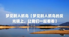 梦见别人抓鸟【梦见别人抓鸟的反光镜上，让我们一起看看】