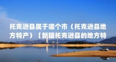 托克逊县属于哪个市（托克逊县地方特产）【新疆托克逊县的地方特产】