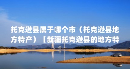 托克逊县属于哪个市（托克逊县地方特产）【新疆托克逊县的地方特产】