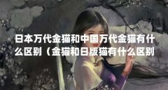 日本万代金猫和中国万代金猫有什么区别(金猫和日版猫有什么区别呢?)【日