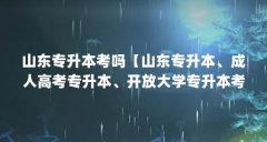 山东专升本考吗【山东专升本、成人高考专升本、开放大学专升本考吗】