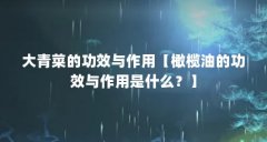 大青菜的功效与作用【橄榄油的功效与作用是什么?】
