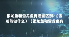 银龙鱼和雪龙鱼有哪些区别?(雪龙能做什么)【银龙鱼和雪龙鱼有什么区别?